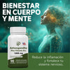 Ashwagandha con Vitamina B12 para Bienestar Diario